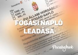 Fogási napló 2025